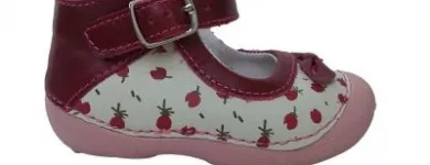 11 üzleti kép PAPLEMACS BÉBI ÉS GYERMEKCIPŐ KFT. Üzleti szolgáltatások ban/ben Téglás HB