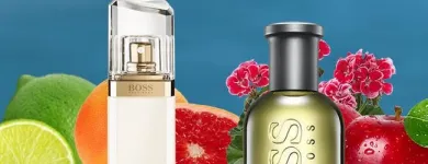 15 üzleti kép PARFÜMPARTNER - PARFUMPARTNER.HU Üzleti szolgáltatások ban/ben Kistarcsa PE