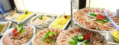 2 üzleti kép PARK INN BY RADISSON SÁRVÁR RESORT & SPA Vendéglátás ban/ben Sárvár VA