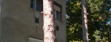 2 üzleti kép PATAKI TIBOR EGYÉNI VÁLLALKOZÓ Üzleti szolgáltatások ban/ben Székesfehérvár FE