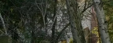 3 üzleti kép PATAKI TIBOR EGYÉNI VÁLLALKOZÓ Üzleti szolgáltatások ban/ben Székesfehérvár FE