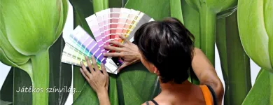11 üzleti kép PG COLOR FESTÉKBOLT Festékboltok ban/ben Győr GS