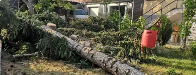 1 üzleti kép POLGÁR TIBOR DÁNIEL E.V Üzleti szolgáltatások ban/ben Győr GS