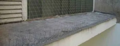 2 üzleti kép PROFITAKARITAS Üzleti szolgáltatások ban/ben Kaposvár SO