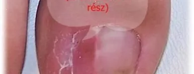 6 üzleti kép SISA ERIKA/BIO-SZÉPÍTŐ ÉS EGÉSZSÉG STÚDIÓ Szépségszalon, kozmetika ban/ben Budapest PE