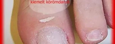 14 üzleti kép SISA ERIKA/BIO-SZÉPÍTŐ ÉS EGÉSZSÉG STÚDIÓ Szépségszalon, kozmetika ban/ben Budapest PE