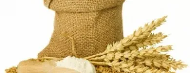 7 üzleti kép SOYA GROUP KFT. Vendéglátás ban/ben Győr GS