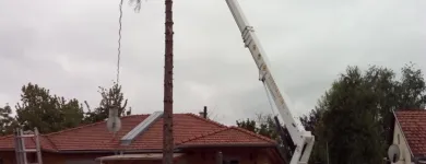 1 üzleti kép SPECIALPIN BT. Üzleti szolgáltatások ban/ben Siófok SO