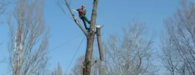 6 üzleti kép SPECIALPIN BT. Üzleti szolgáltatások ban/ben Siófok SO