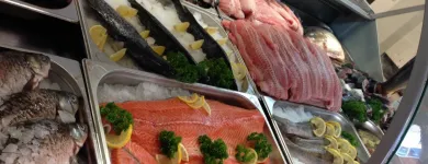 13 üzleti kép SZAMOS VENDÉGLŐ Vendéglátás ban/ben Békéscsaba BC