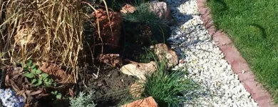 11 üzleti kép SZŐCS MIKLÓS KERTÉPÍTÉS Üzleti szolgáltatások ban/ben Solymár PE