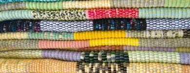 6 üzleti kép SZŐNYEGTISZTÍTÁS MOSONMAGYARÓVÁR Tisztítás ban/ben Mosonmagyaróvár GS