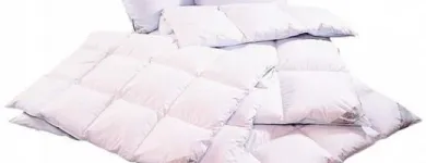 1 üzleti kép TOLLFELVÁSÁRLÁS Üzleti és kereskedelmi szervezetek ban/ben Debrecen HB