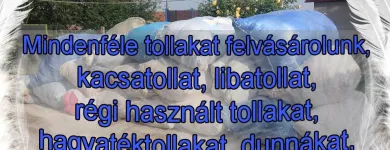 3 üzleti kép TOLLFELVÁSÁRLÁS Üzleti és kereskedelmi szervezetek ban/ben Debrecen HB