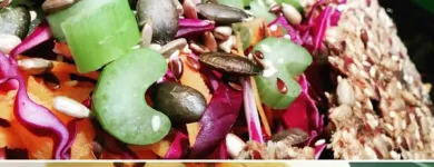 20 üzleti kép VEGA TO GO Vendéglátás ban/ben Székesfehérvár FE