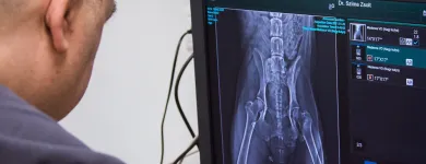 1 üzleti kép VEZÉR ÁLLATEGÉSZSÉGÜGYI CENTRUM KFT. Állategészségügyi szolgáltatások ban/ben Debrecen HB