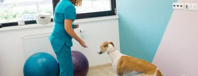 10 üzleti kép VEZÉR ÁLLATEGÉSZSÉGÜGYI CENTRUM KFT. Állategészségügyi szolgáltatások ban/ben Debrecen HB