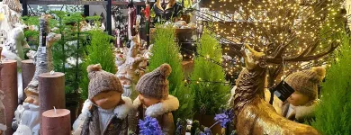 10 üzleti kép VIRÁGÜZLET VIRÁGKÜLDÉS GYŐR BÉCSI VIRÁG KFT. Virágok, virágpiac, virágküldés ban/ben Győr GS
