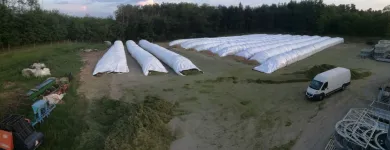 1 üzleti kép VITAL-FEED KFT.--MEZŐGAZDASÁG,-TAKARMÁNYOZÁSI SZAKTANÁCSADÁS Mezőgazdaság ban/ben Kapuvár GS