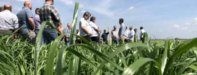 3 üzleti kép VITAL-FEED KFT.--MEZŐGAZDASÁG,-TAKARMÁNYOZÁSI SZAKTANÁCSADÁS Mezőgazdaság ban/ben Kapuvár GS