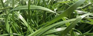 6 üzleti kép VITAL-FEED KFT.--MEZŐGAZDASÁG,-TAKARMÁNYOZÁSI SZAKTANÁCSADÁS Mezőgazdaság ban/ben Kapuvár GS