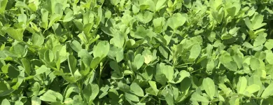 7 üzleti kép VITAL-FEED KFT.--MEZŐGAZDASÁG,-TAKARMÁNYOZÁSI SZAKTANÁCSADÁS Mezőgazdaság ban/ben Kapuvár GS