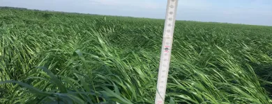 13 üzleti kép VITAL-FEED KFT.--MEZŐGAZDASÁG,-TAKARMÁNYOZÁSI SZAKTANÁCSADÁS Mezőgazdaság ban/ben Kapuvár GS