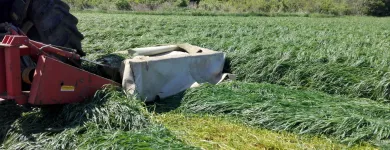 14 üzleti kép VITAL-FEED KFT.--MEZŐGAZDASÁG,-TAKARMÁNYOZÁSI SZAKTANÁCSADÁS Mezőgazdaság ban/ben Kapuvár GS