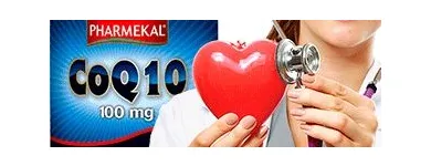 1 üzleti kép VITAMINPONT Üzleti szolgáltatások ban/ben Budapest