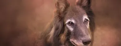 5 üzleti kép ZSÉEL PHOTOGRAPHY Kultúra & Művészet ban/ben Budapest