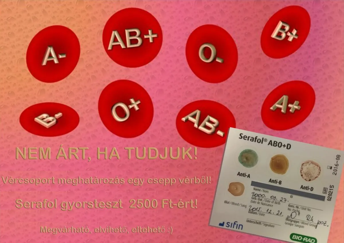 3 üzleti kép DUNALAB MEDICAL VÉRVÉTEL LABORVIZSGÁLATOK