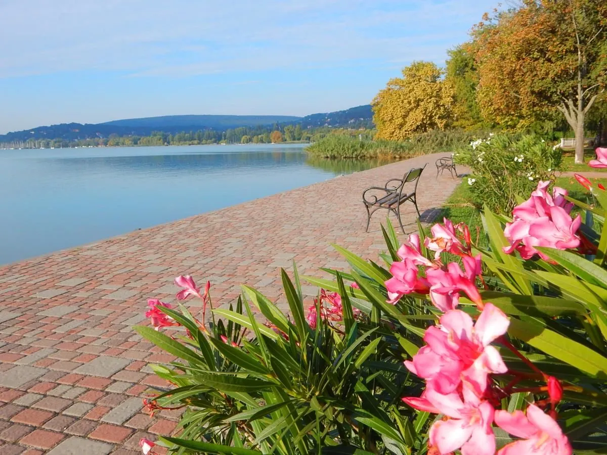 1 üzleti kép BALATONALMALMÁDI APARTMAN SZÁLLÁS OLCSÓN