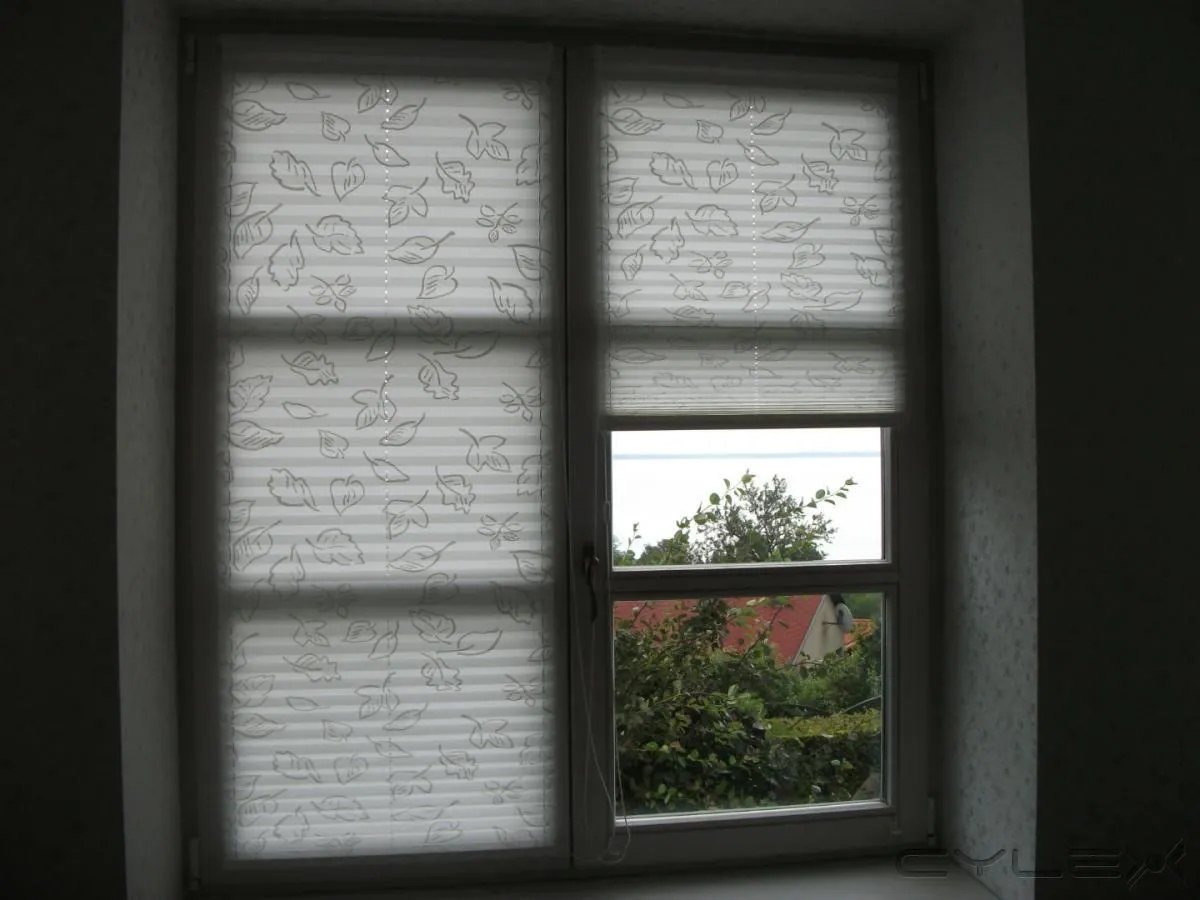 2 üzleti kép ROLLSTAR BALATONALMÁDI