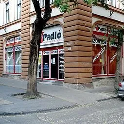 3 üzleti kép DR. PADLÓ CEGLÉD