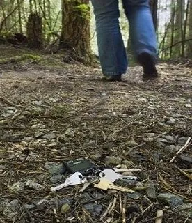 8 üzleti kép FÉMDETEKTOR BÉRLÉS / KÖLCSÖNZÉS