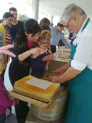 13 üzleti kép MEP MERÍTETT PAPÍR BT