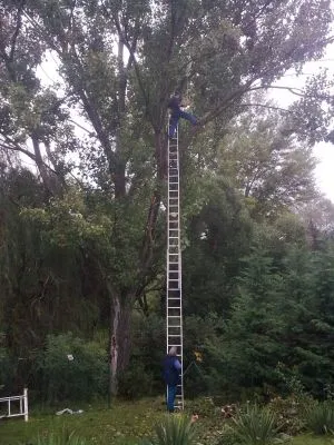 4 üzleti kép SZŐCS MIKLÓS KERTÉPÍTÉS