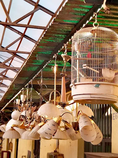 1 üzleti kép ECSERI MERCATO DELLE PULCI - GOODAPEST