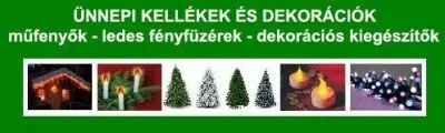 2 üzleti kép INFOTECH ELEKTRONIKAI KFT.