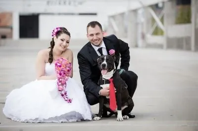 6 üzleti kép MASZLER RÓBERT ESKÜVŐ FOTOGRÁFUS