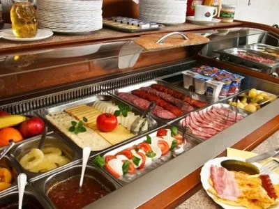 10 üzleti kép HOTEL MANZARD PANZIO***