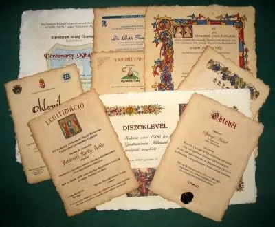 15 üzleti kép MEP MERÍTETT PAPÍR BT