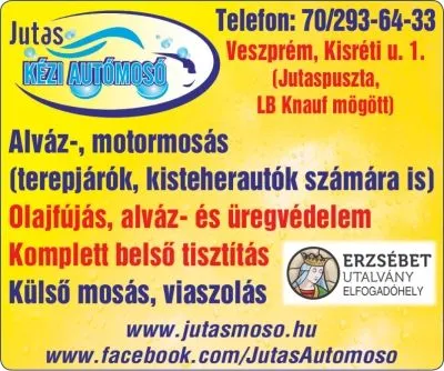 8 üzleti kép JUTAS KÉZI AUTÓMOSÓ