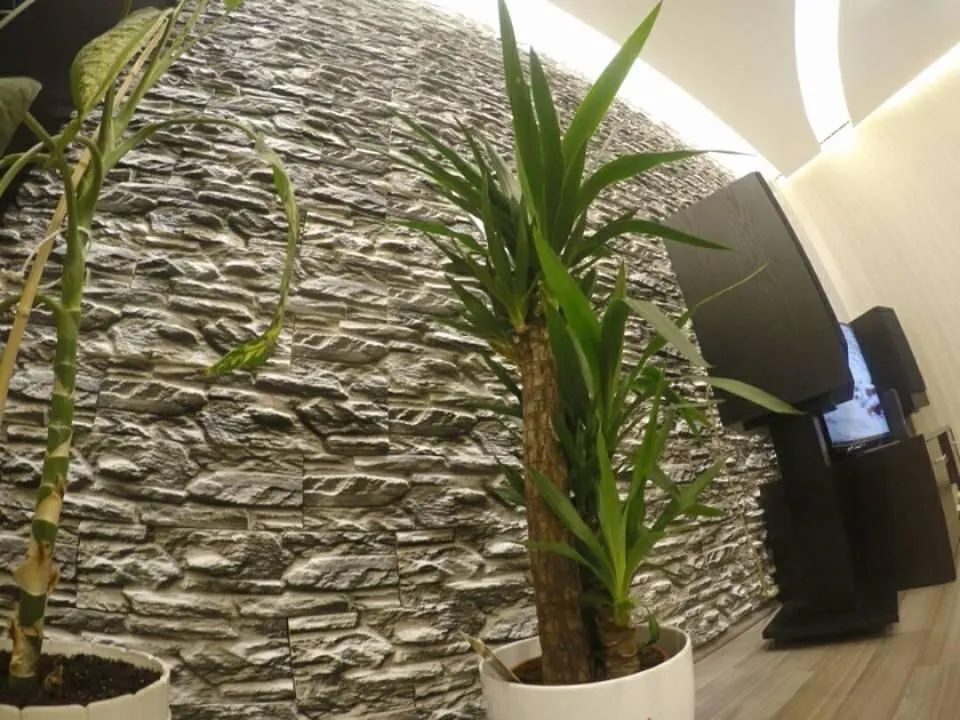 5 üzleti kép SZIKLAFORMA