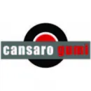 CANSARO GUMISZERVIZ KFT. Gumiabroncsok ban/ben Debrecen HB