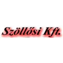 SZÖLLŐSI KFT. - FATELEP Szőnyeg, padló, burkolat ban/ben Kápolnásnyék FE