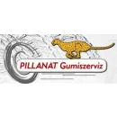 PILLANAT GUMISZERVIZ Autó-, motorgumi ban/ben Tatabánya KE