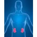 JÁROMI-MED KFT Urológia ban/ben Lajosmizse BK