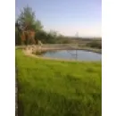 SZŐCS MIKLÓS KERTÉPÍTÉS Üzleti szolgáltatások ban/ben Solymár PE