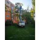 POLGÁR TIBOR DÁNIEL E.V Üzleti szolgáltatások ban/ben Győr GS